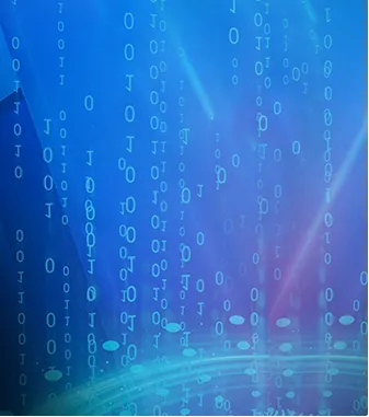 Chip Industry Breakthrough in 2025: From Technological Innovation to Ecosystem Reconstruction‌